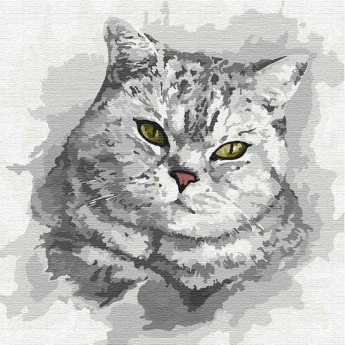 

Картина по номерам Идейка КНО4200 30*30 см Зеленоглазый взгляд