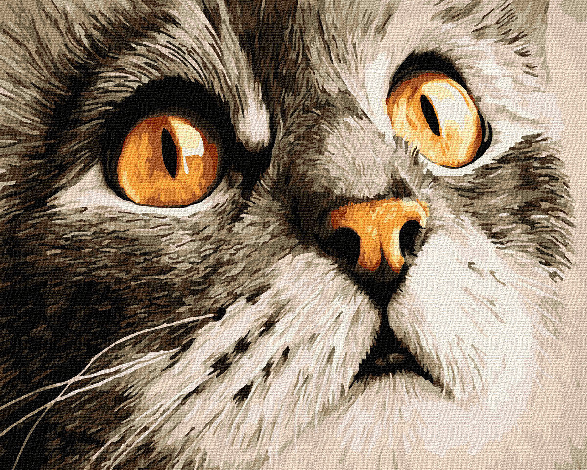 

Картина по номерам BrushMe GX23782 40*50 cм Взгляд котика