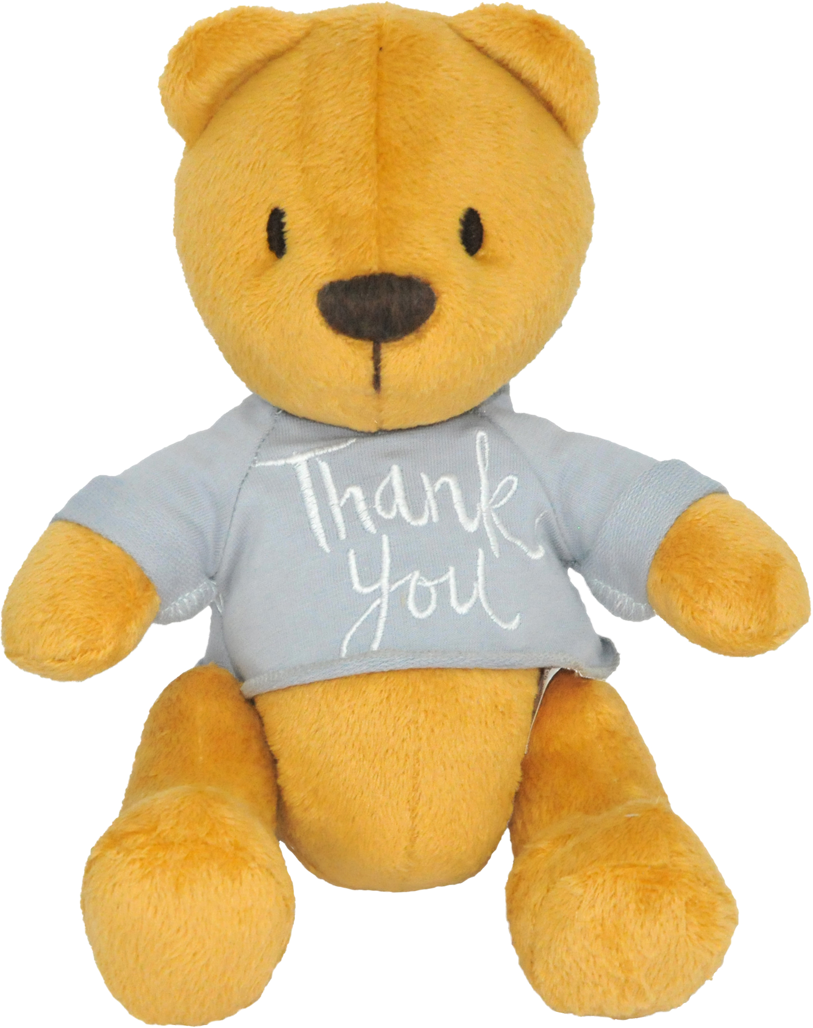 

Мягкая игрушка Tigres Мишка Дэнни Thank you 25 см (ВЕ-0207) (4823061518576)