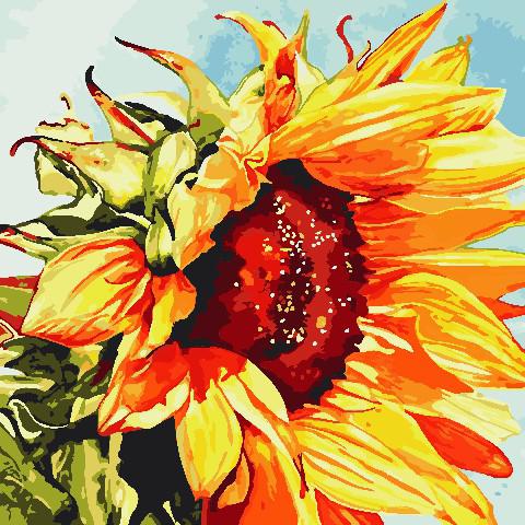 

Картина рисование по номерам ArtStory Подсолнух AS0811 40х40 см Цветы, букеты, натюрморты набор для росписи краски, кисти, холст