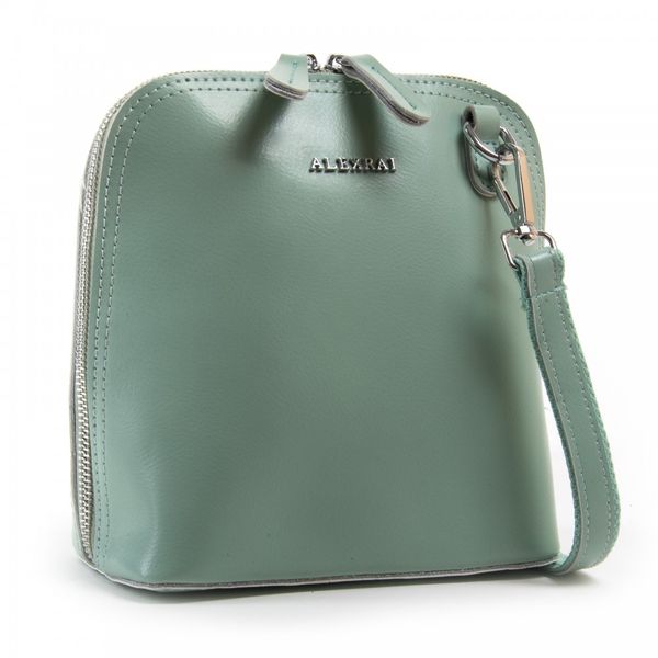 

Женская кожаная сумка ALEX RAI 03-01 8803 light-green