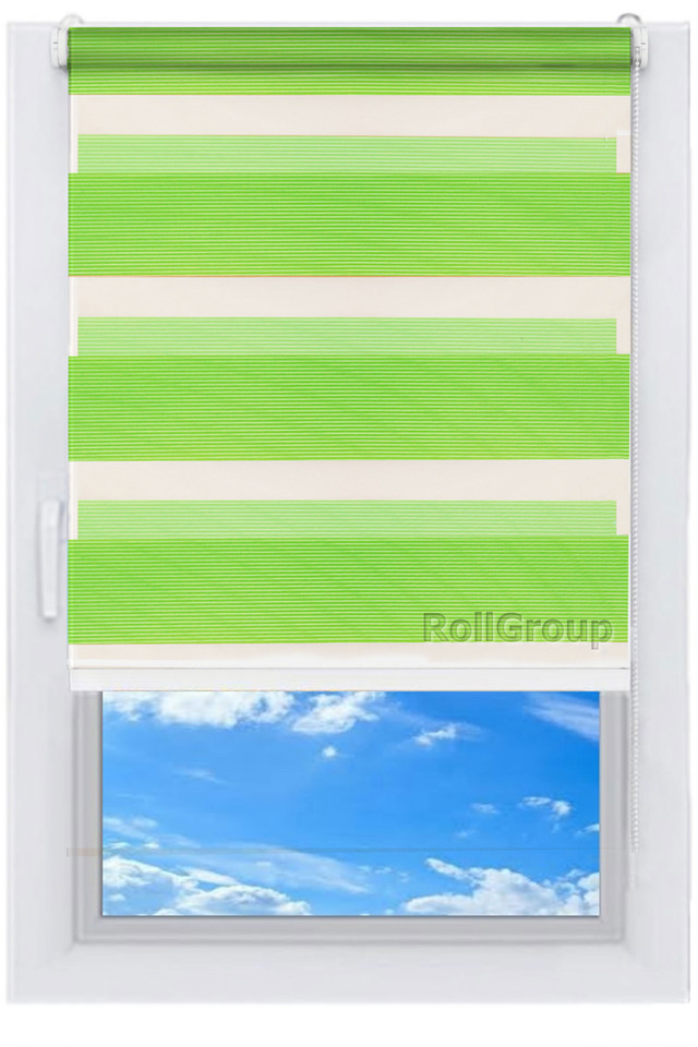 

Ролета тканевая Roll Group День-ночь 75х165 Зеленый 207