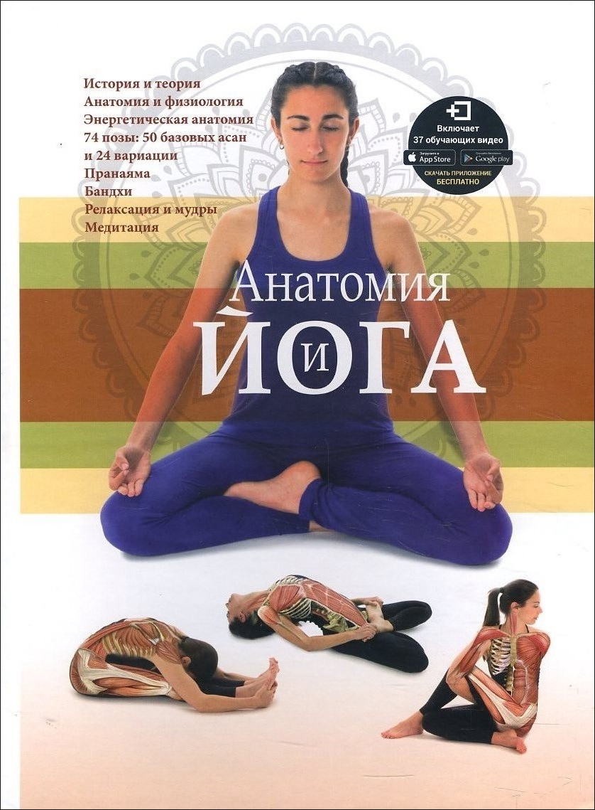 

Анатомия и йога - (978-985-15-4439-0)