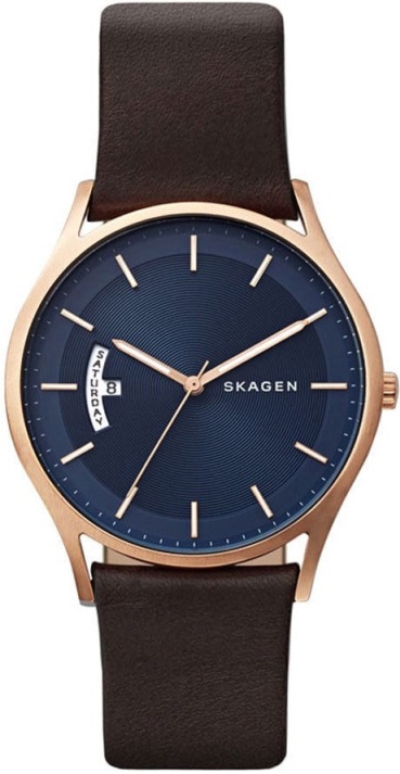 

Мужские наручные часы SKAGEN SKW6395