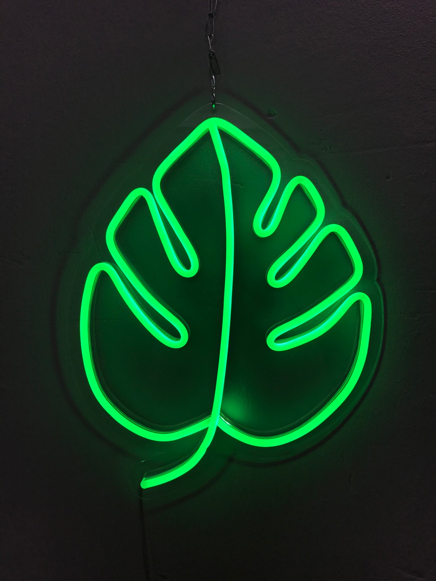 

Неоновый светильник Neon Lightning «Листок» Светло-зеленый