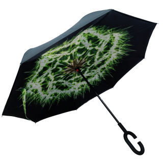 

Умный зонт наоборот Up-brella. Зонт обратного сложения - Антизонт Одуванчик