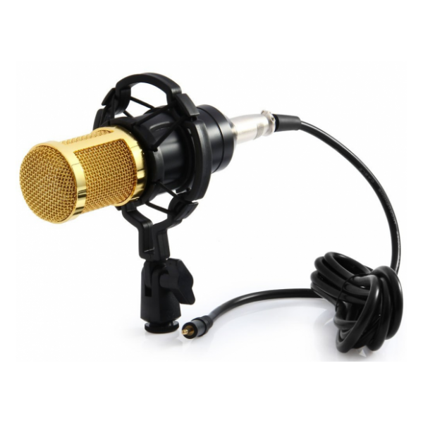 

Микрофон студийный MHZ M-800