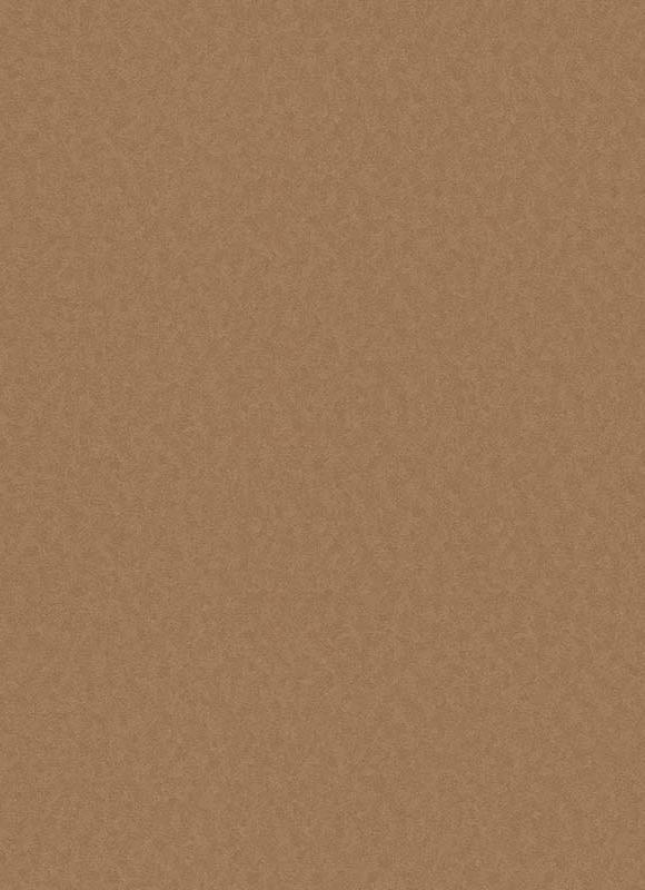 

Виниловые обои на флизелиновой основе 0.53*10.05 Erismann Eterna 5797-11