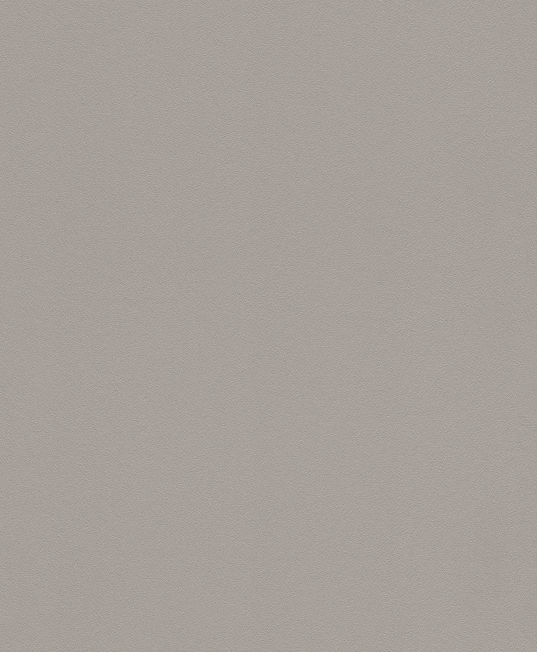 

Виниловые обои на флизелиновой основе 0.53*10.05 Rasch Gypso 607734
