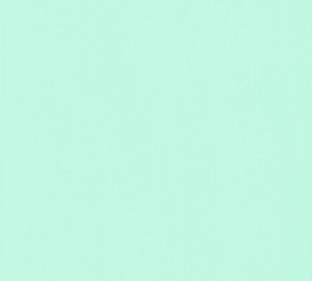 

Виниловые обои на флизелиновой основе 0.53*10.05 A.S.Creation Esprit 14 36527-4