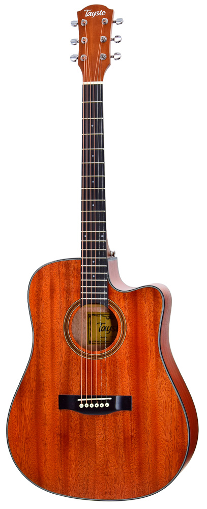 

Акустическая гитара Tayste TS-22-41