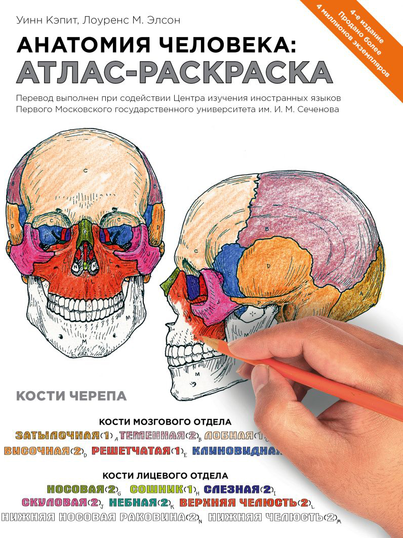 

Анатомия человека: атлас-раскраска - Элсон Лоренс М. Кэпит Уинн (9789669936851)