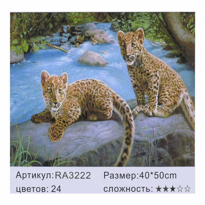 

Картина по номерам RA 3222 (30) 40х50см, в коробке