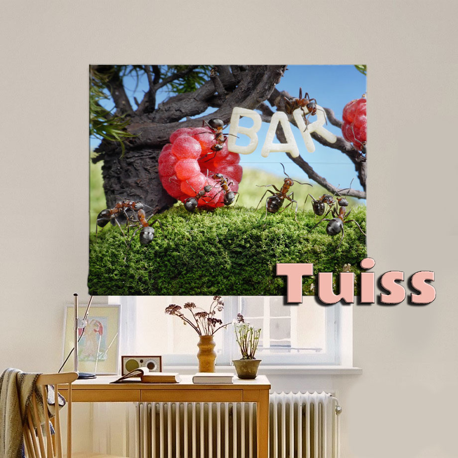 

Римская штора система Classic InHt Фотопечать Арт 17-121 Джуси Велюр 110х170 см