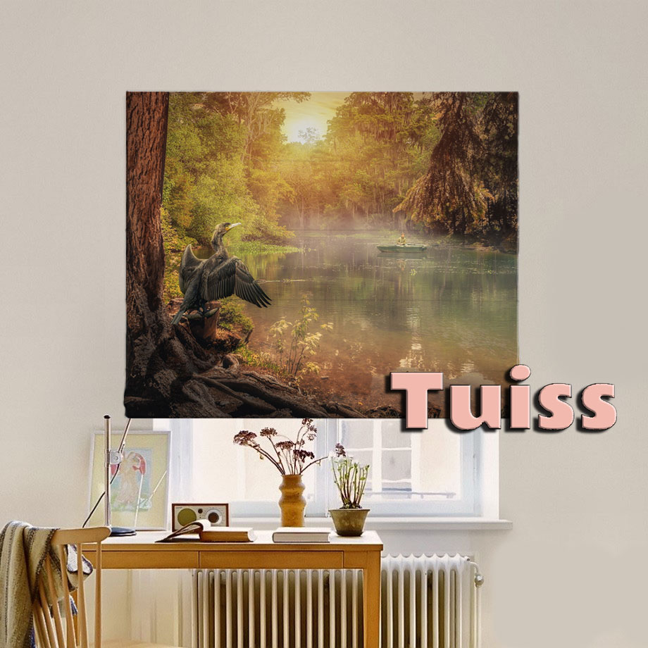 

Римская штора система Classic InHt Фотопечать Арт 17-007 Джуси Велюр 250х170 см