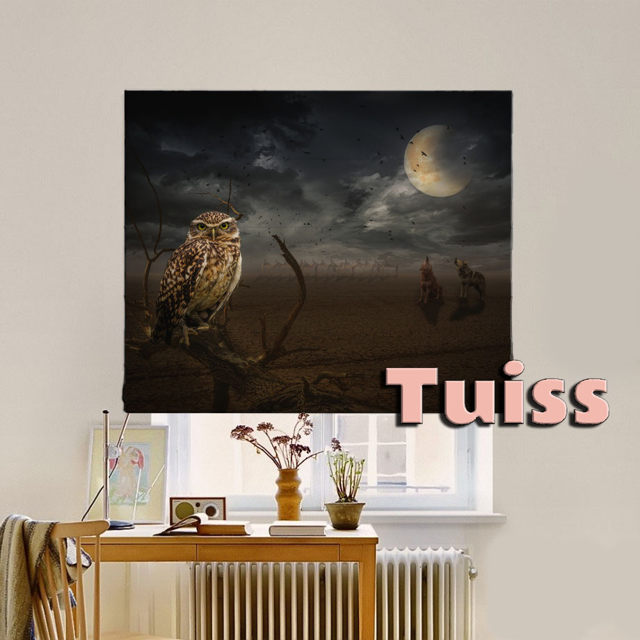 

Римская штора система Classic InHt Фотопечать Арт 17-016 Блэкаут 190х170 см