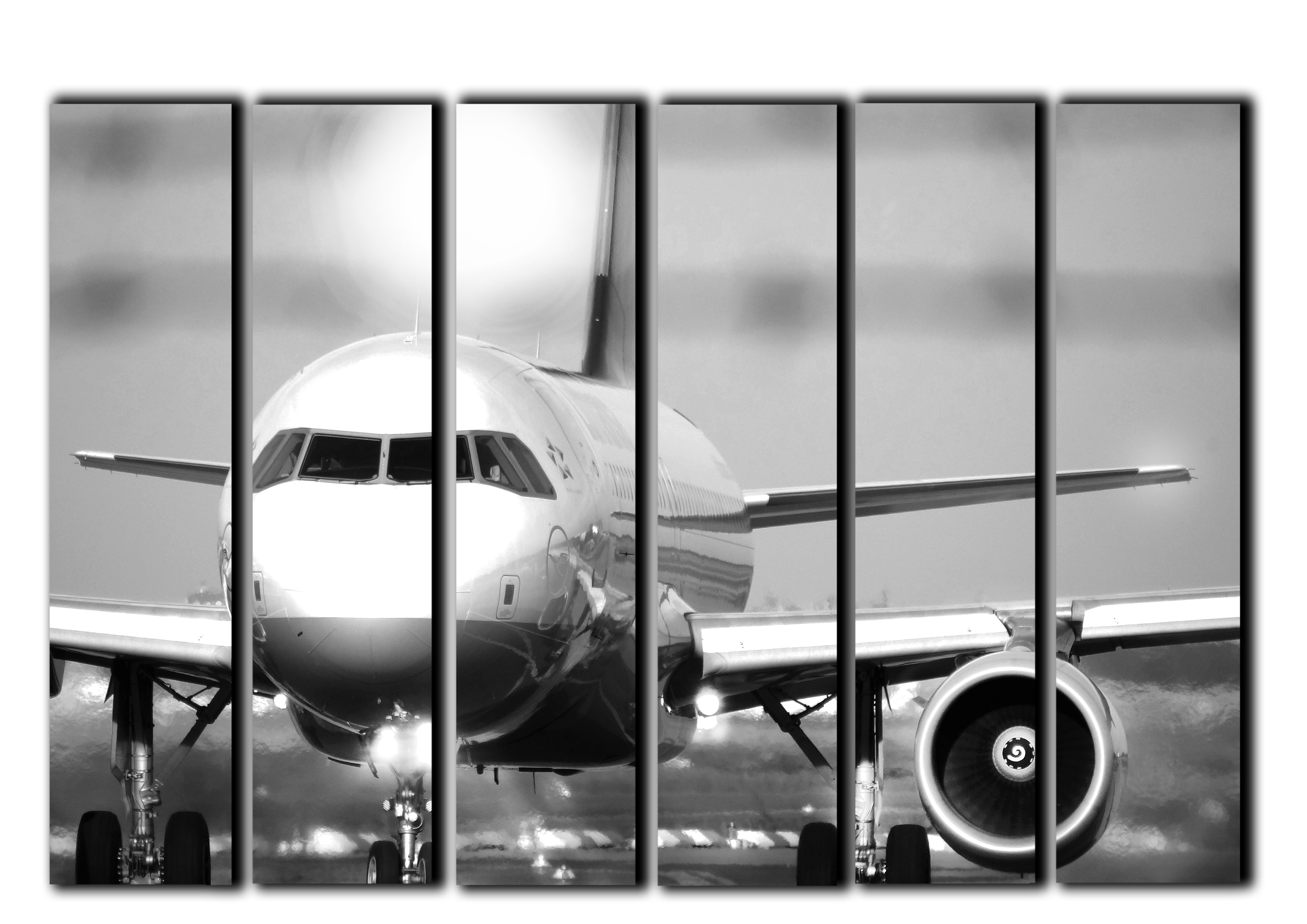 

Модульная картина на холсте из 6 частей смолет Airbus A 320 пассажирский самолет Hotel Arizona HD 112 см x 171 см