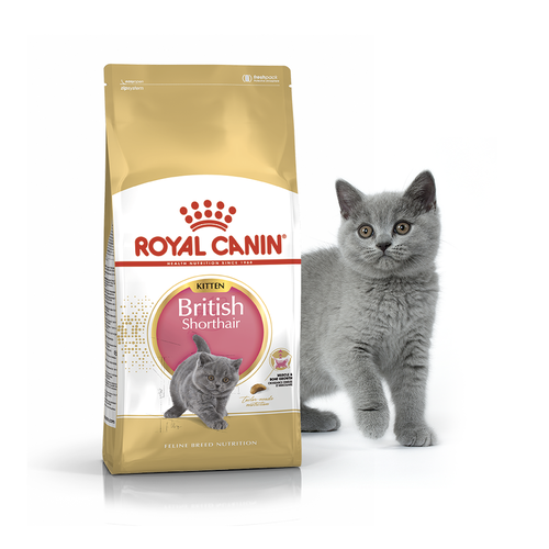 Сухой корм для кошек породы британская короткошерстная Royal Canin KITTEN BRITISH SHORTHAIR для котят до 12 мес. (10 кг)