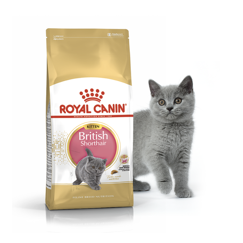 

Сухой корм для кошек породы британская короткошерстная Royal Canin KITTEN BRITISH SHORTHAIR для котят до 12 мес. (2 кг)