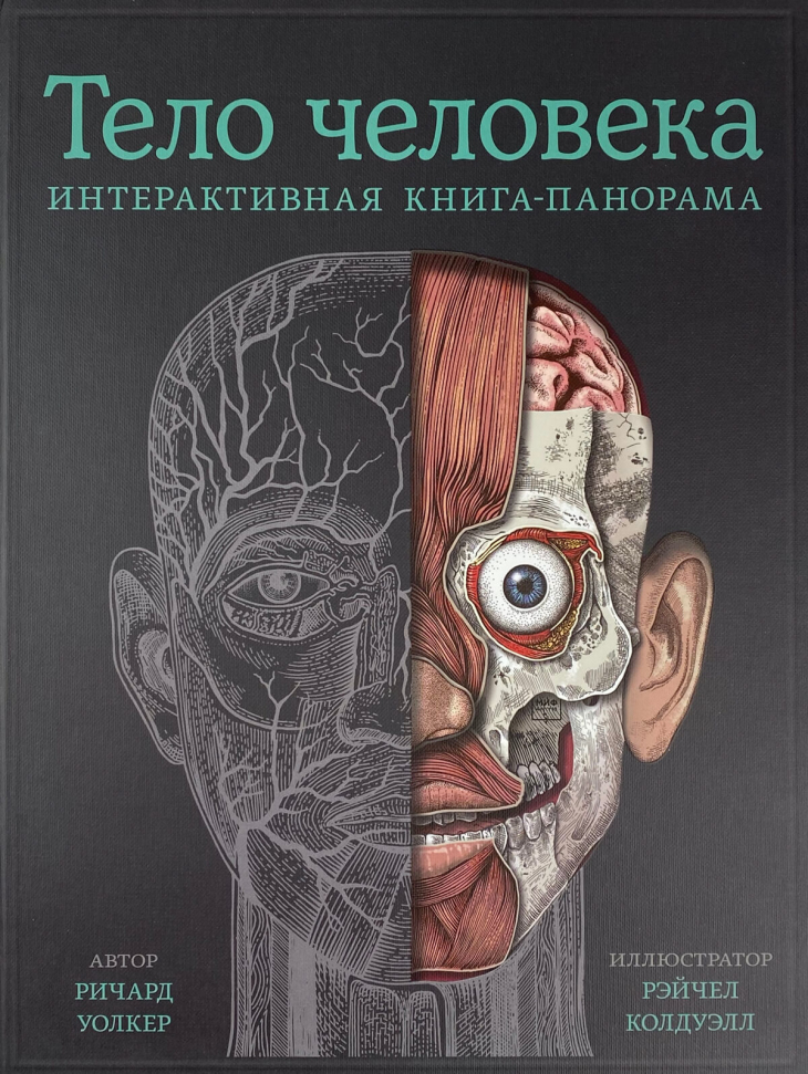 

Тело человека. Интерактивная книга-панорама Манн, Иванов и Фербер (2709)