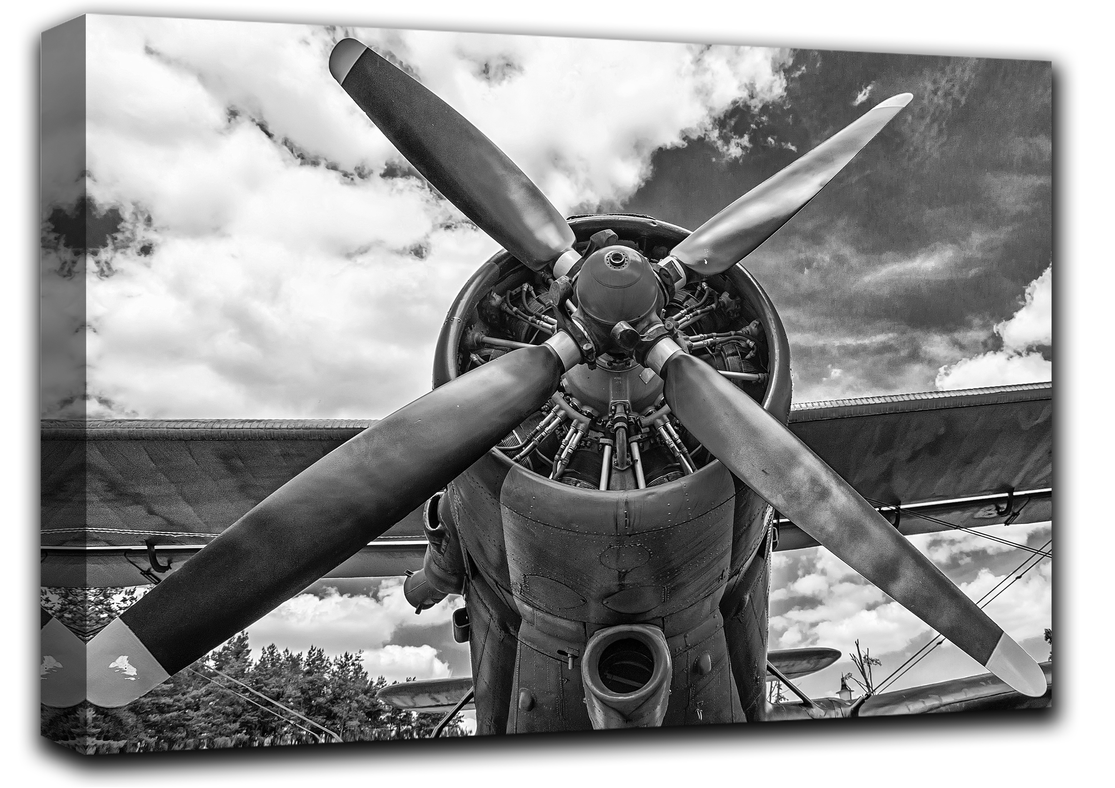 

картина на холсте винтажный самолет АН-2 пропеллер Hotel Arizona HD 44 см x 77 см