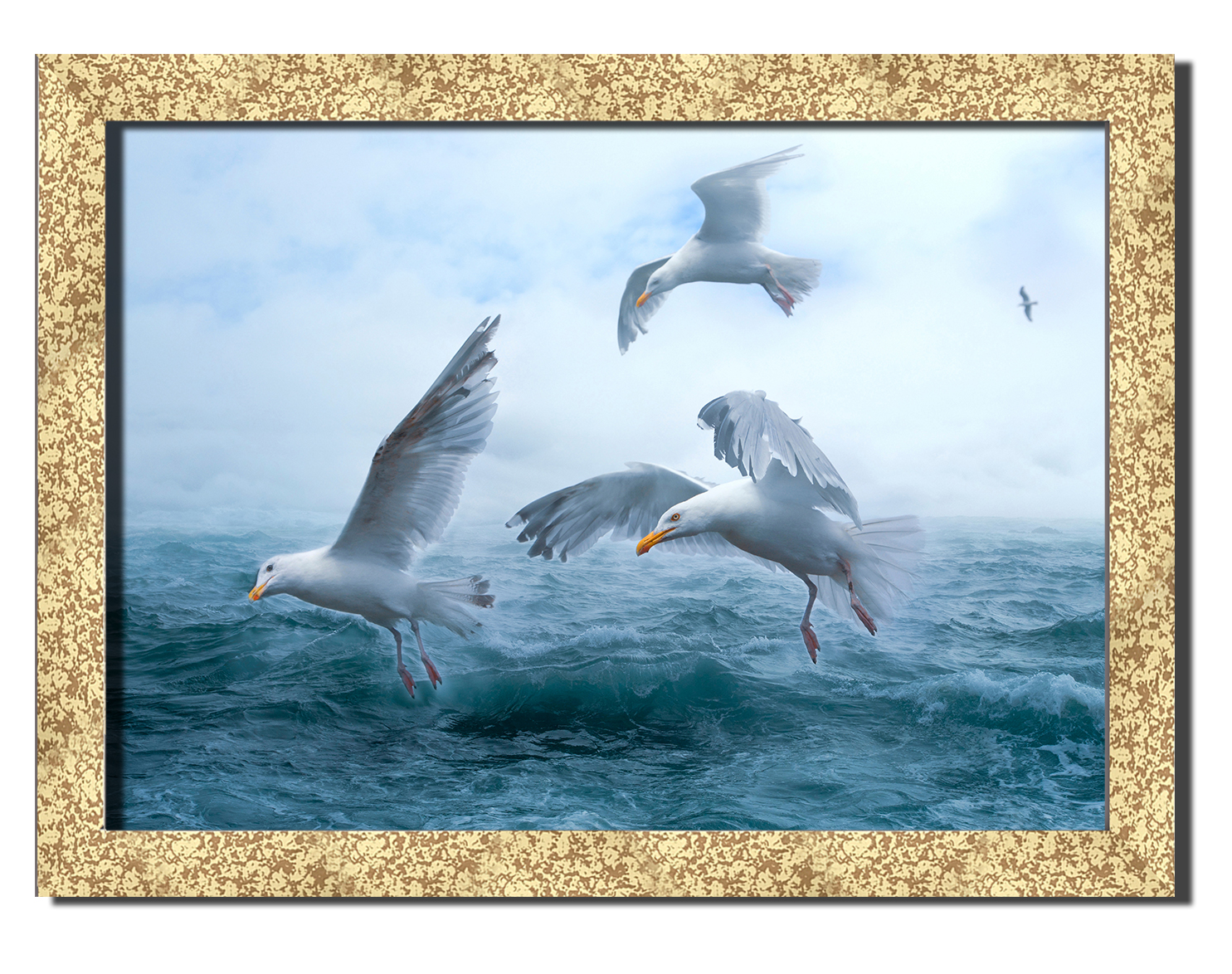 

Golden frame картина на файн-арт бумаге чайки над морем природа, пейзаж, море Hotel Arizona HD 31 см x 41 см