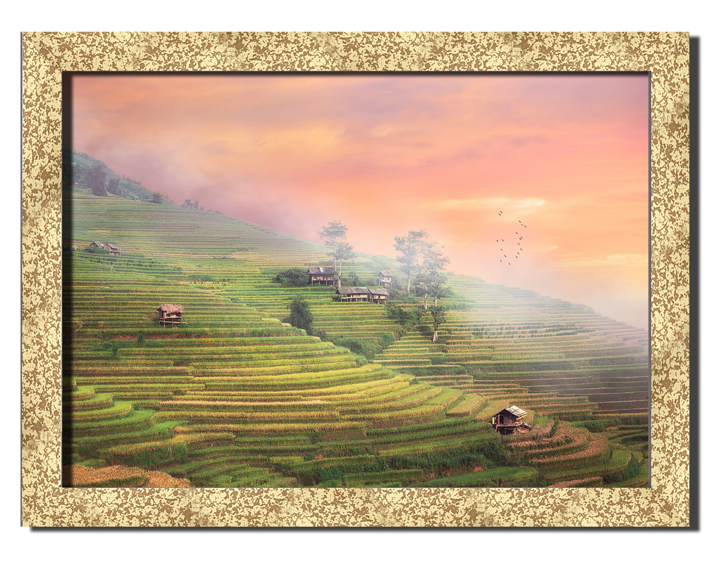 

Golden frame картина на файн-арт бумаге Рисовые поля природа пейзаж ландшафт Hotel Arizona HD 31 см x 41 см