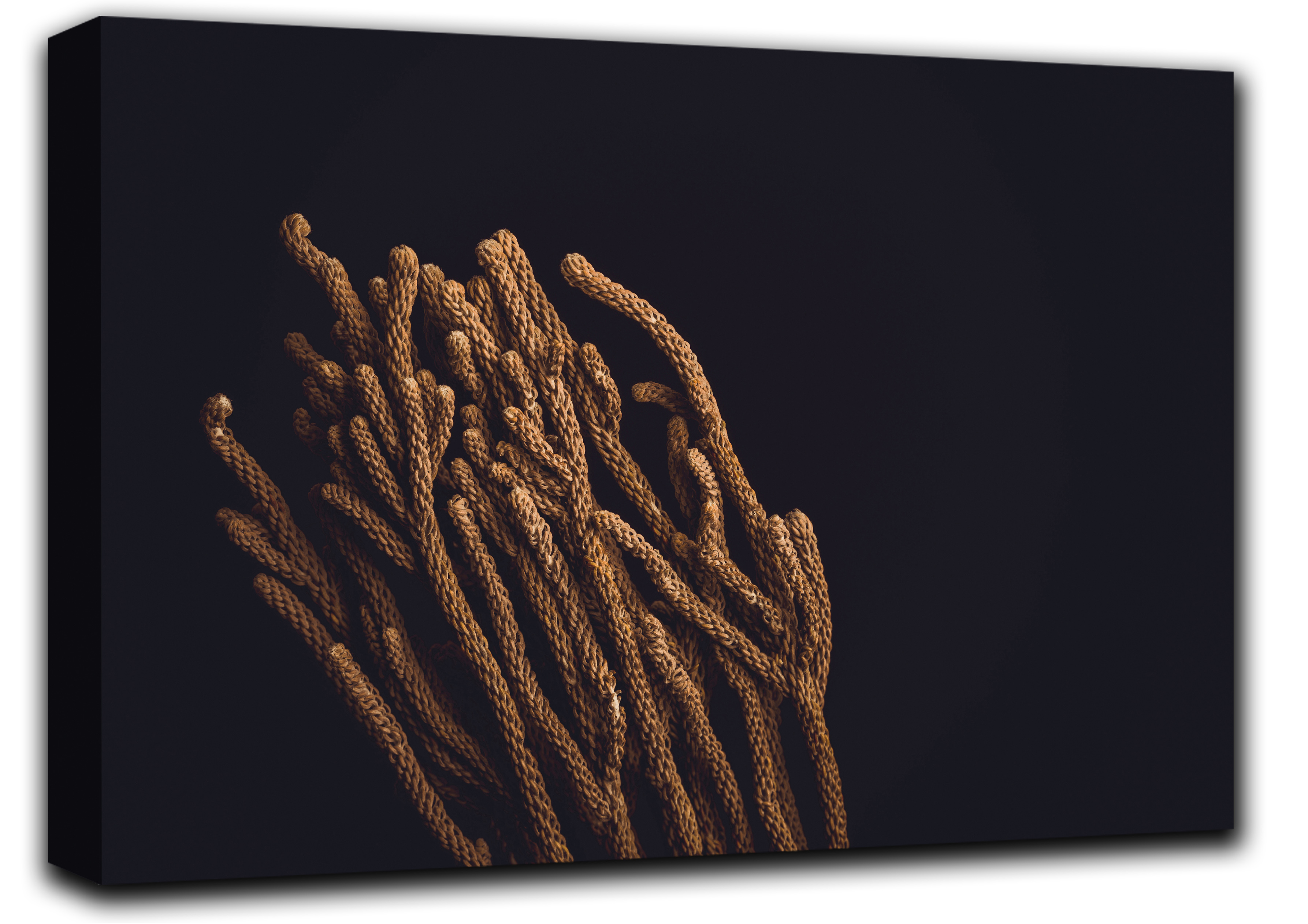 

картина на холсте Растение Гербарий растения, цветы Hotel Arizona HD 72 см x 127 см