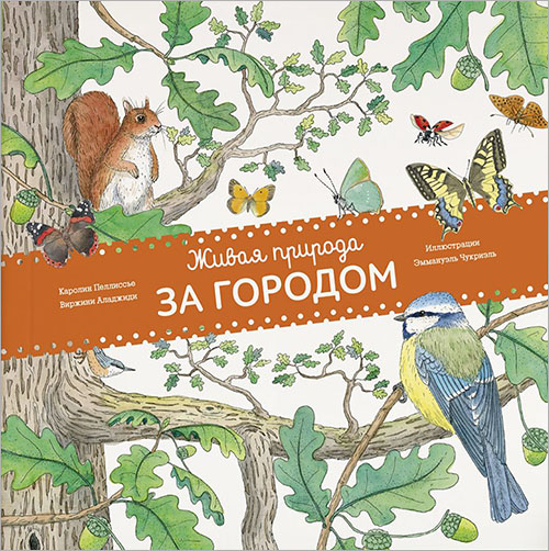 

Живая природа. За городом - Виржини Аладжиди, Каролин Пеллиссье (978-5-00100-090-7)
