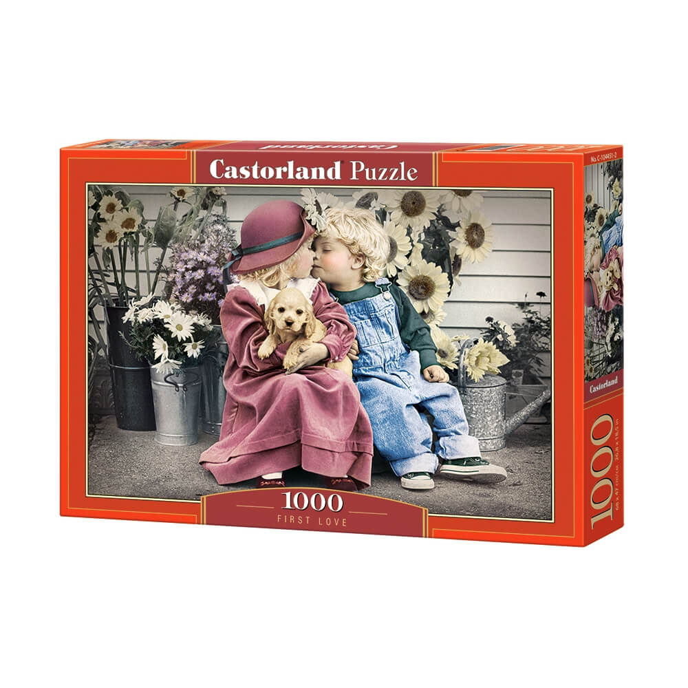 

Пазлы «Первая Любовь» Castorland С-10445 1000 эл Castorland (С-104451)