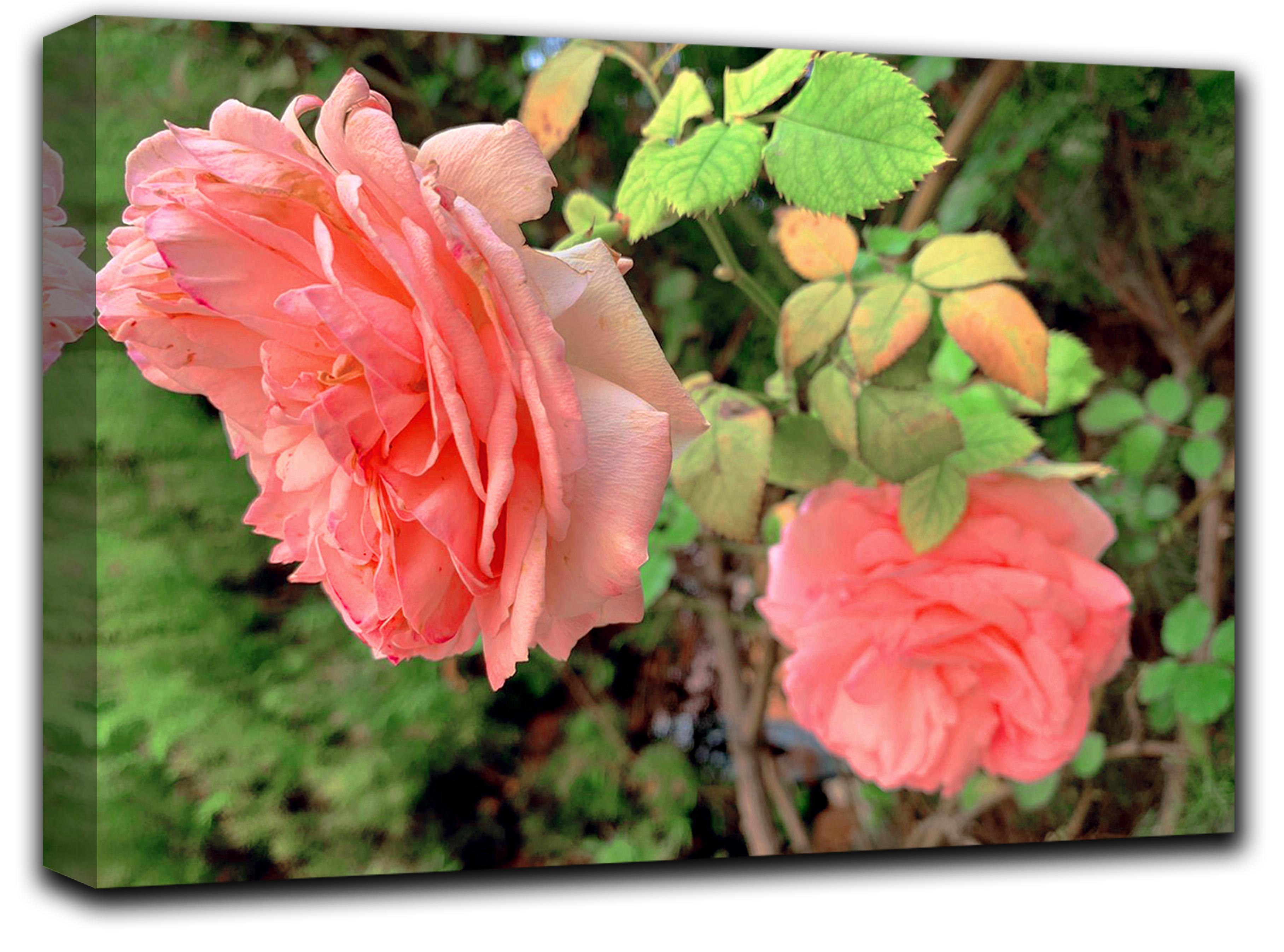 

картина на холсте цветы и растения цветы, растения Hotel Arizona HD 59 см x 102 см