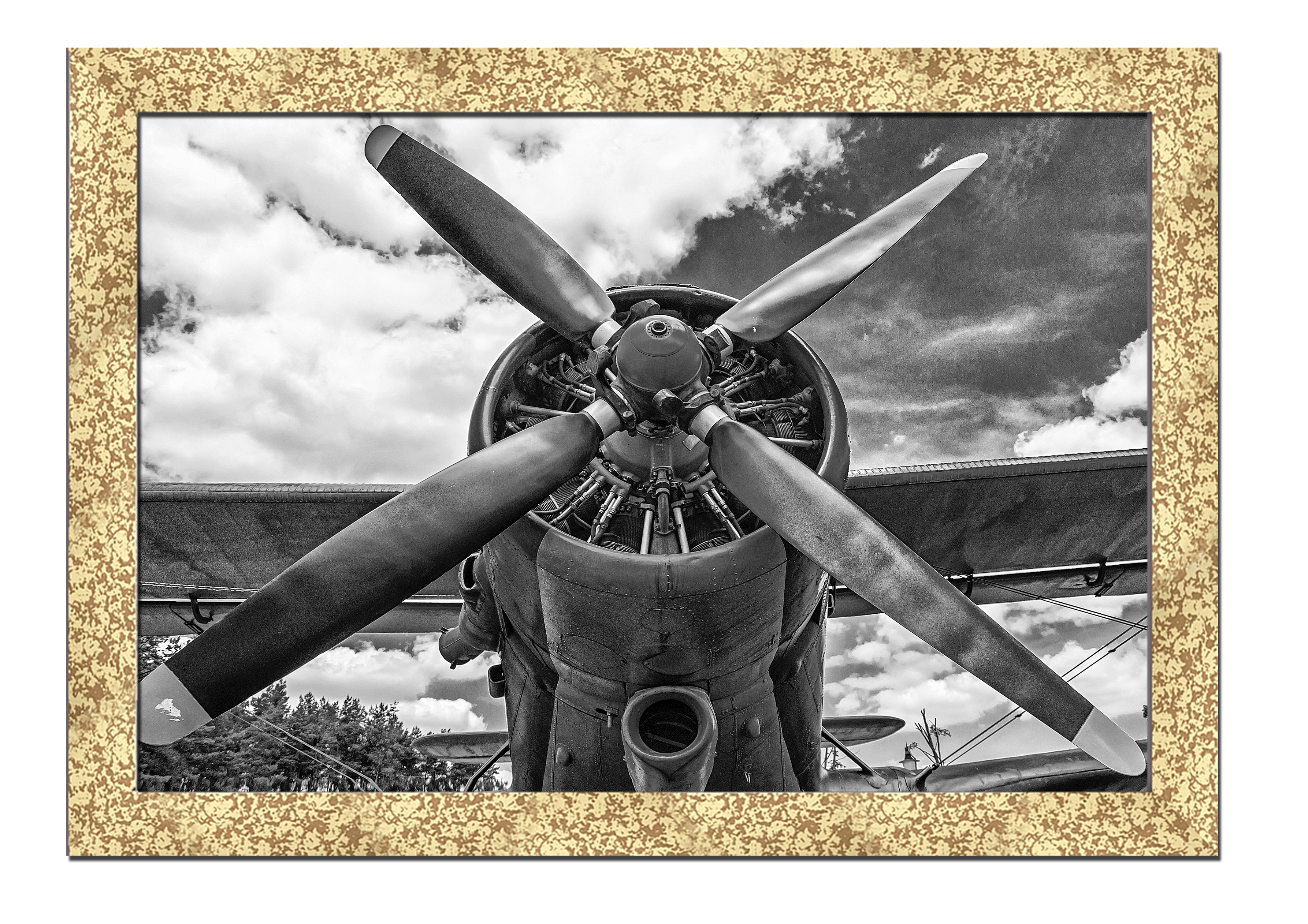 

Golden frame картина на файн-арт бумаге винтажный самолет АН-2 пропеллер Hotel Arizona HD 31 см x 41 см