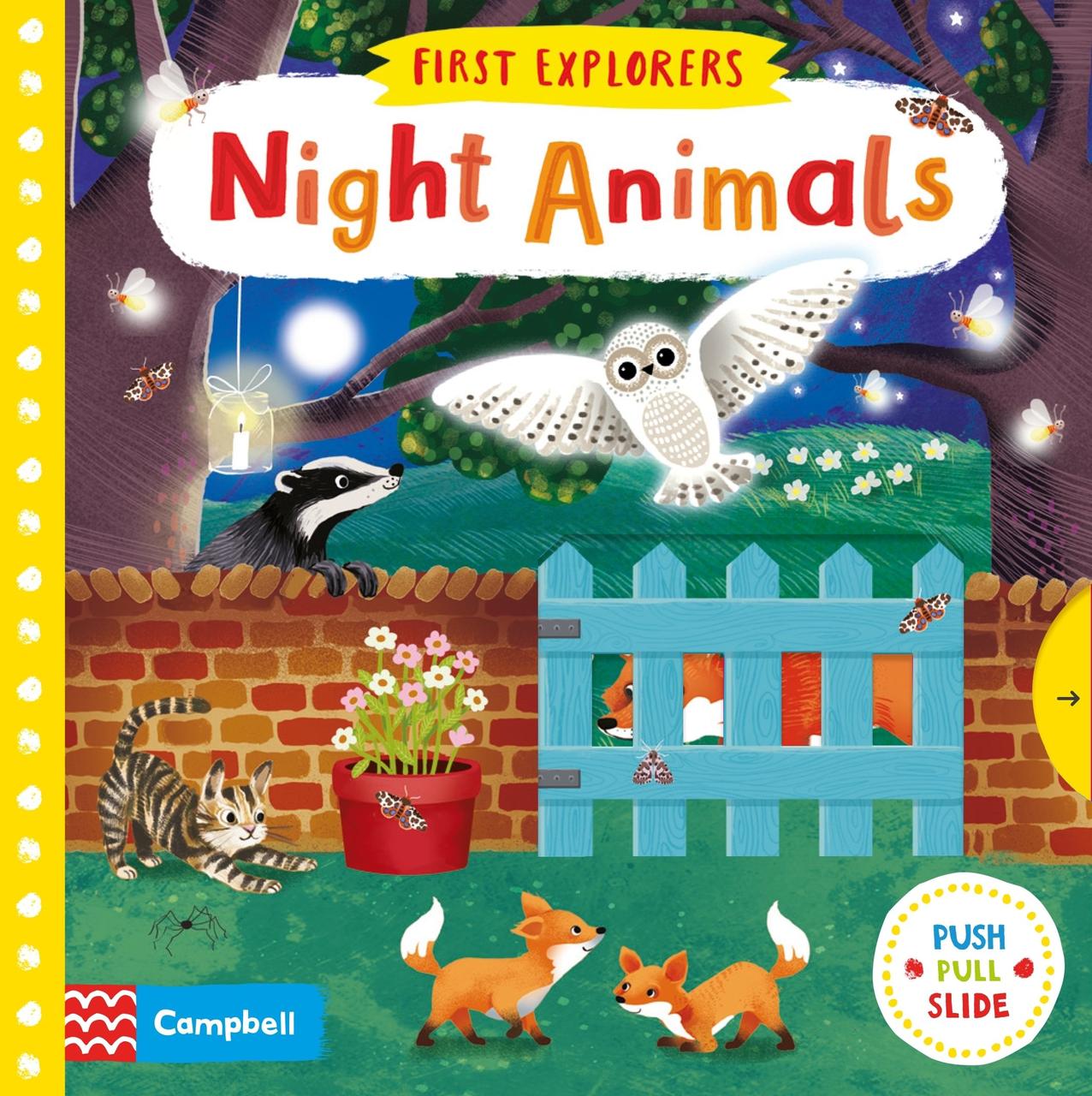 

First Explorers. Night Animals--(9781509832620)