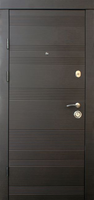 

Входная дверь Qdoors Статус (850х2050) мм