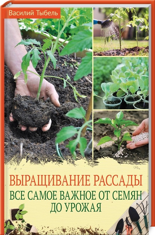 

Выращивание рассады. Все самое важное от семян до урожая (18389880)