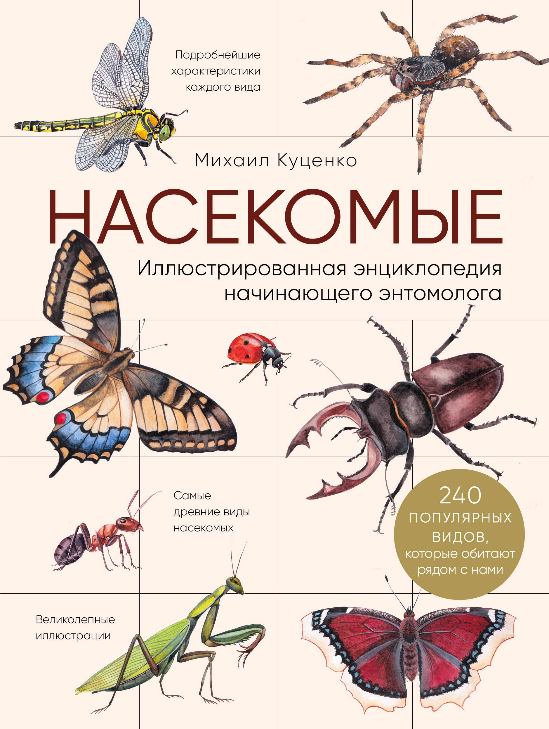 

Насекомые. Иллюстрированная энциклопедия начинающего энтомолога. 240 популярных видов, которые обитают рядом с нами (18353701)