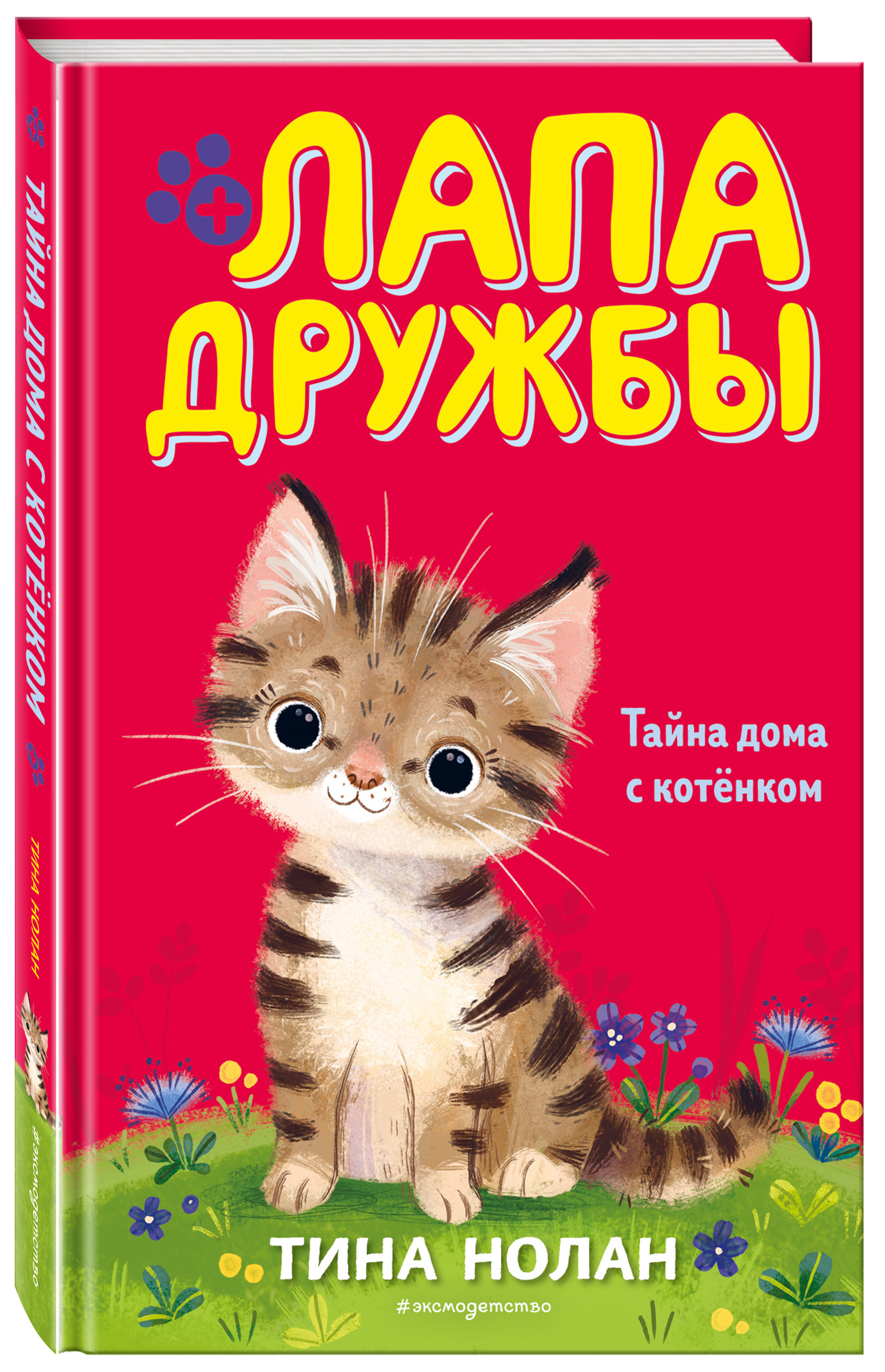 

Тайна дома с котёнком (18392541)