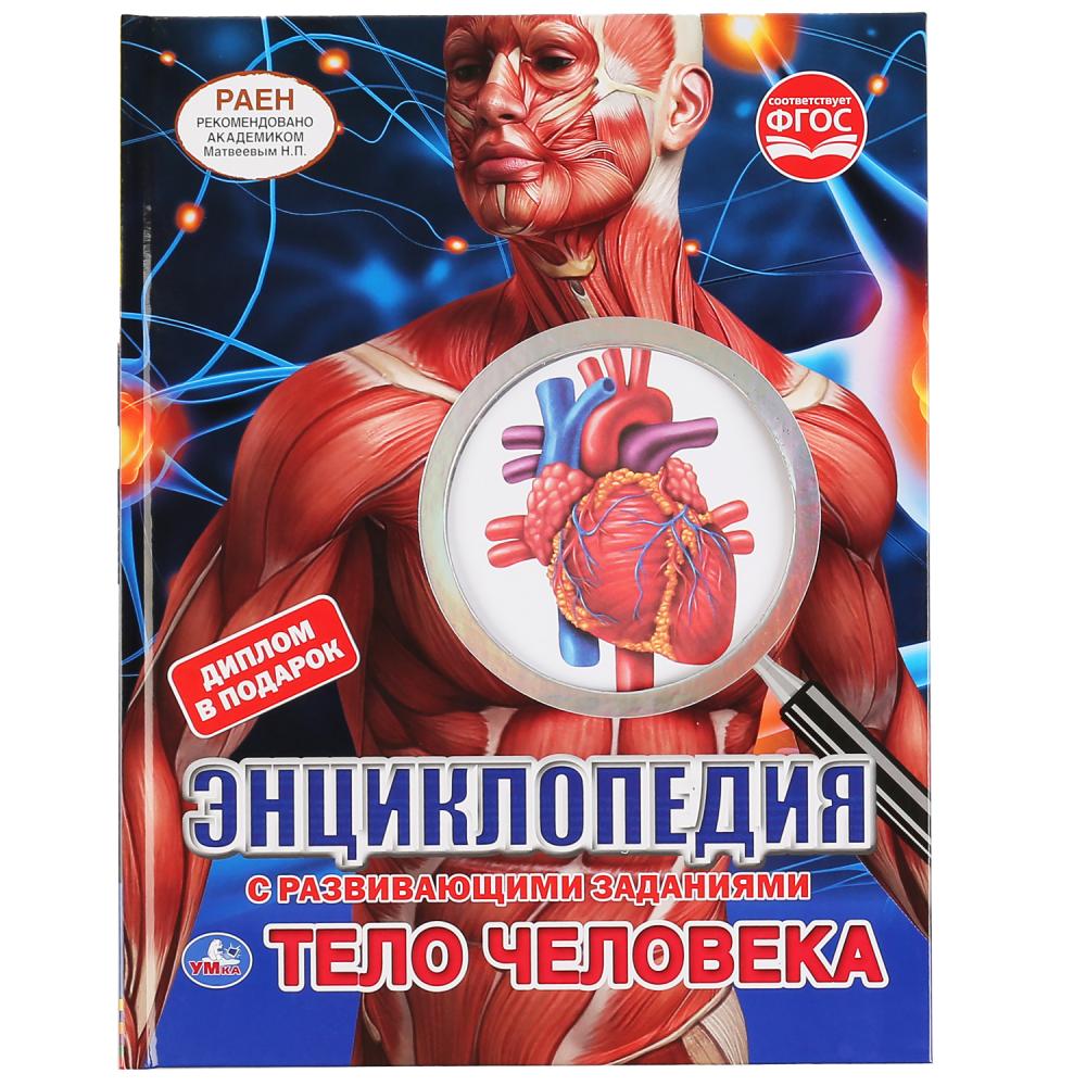 

Тело человека (18353856)