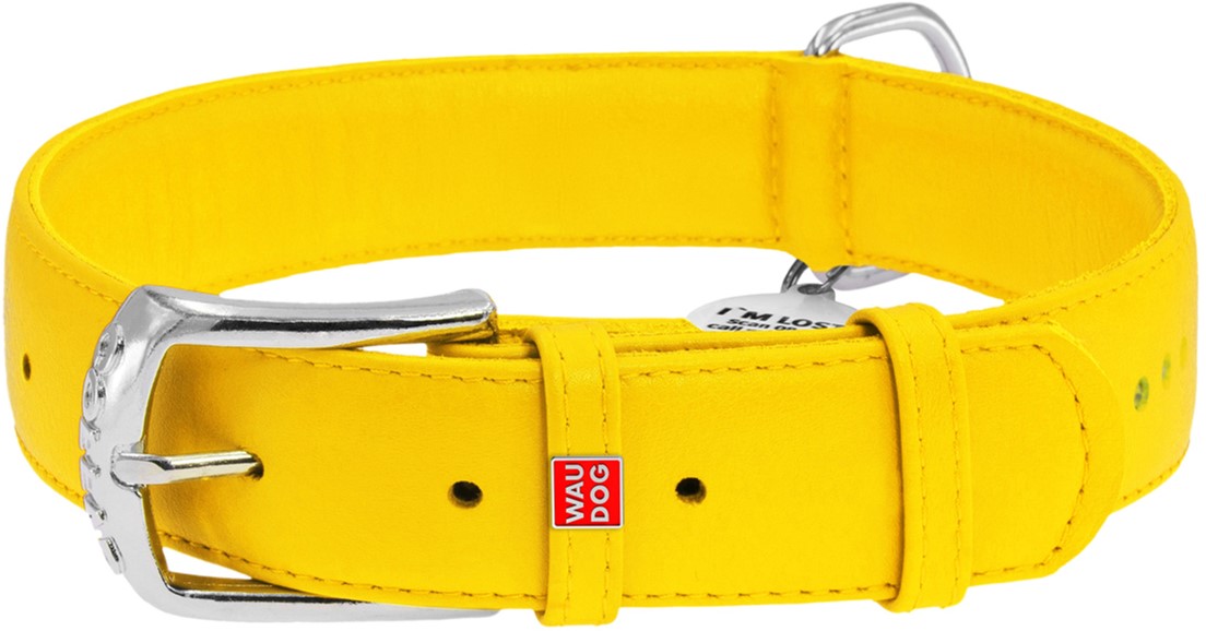 

Ошейник для собак кожаный Collar WAUDOG Glamour с QR паспортом, двойной со стразами, XS, Ш 15 мм, Дл 27-36 см