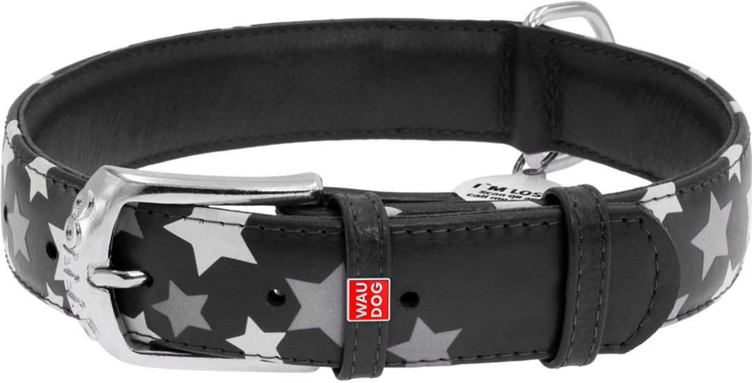 

Ошейник для собак кожаный Collar WAUDOG Glamour с QR паспортом, узор "Звёздочка", светящийся/светоотражающий, M, Ш 25 мм, Дл 38-49 см