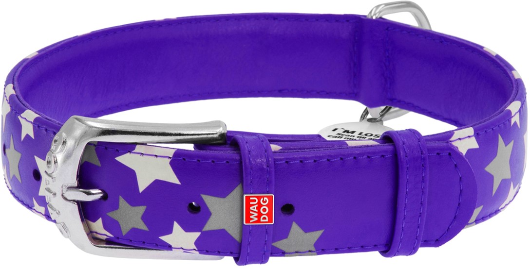 

Ошейник для собак кожаный Collar WAUDOG Glamour с QR паспортом, узор "Звёздочка", светящийся/светоотражающий, M, Ш 25 мм, Дл 38-49 см