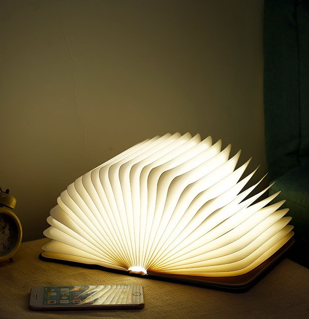 

Ночник "Раскрытая книга" (light) nobrand (7238) L