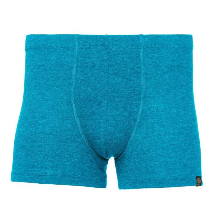 

Труси Turbat Retezat Boxer Mns Lagoon (блакитний, Труси Turbat Retezat Boxer Mns Lagoon (блакитний), S
