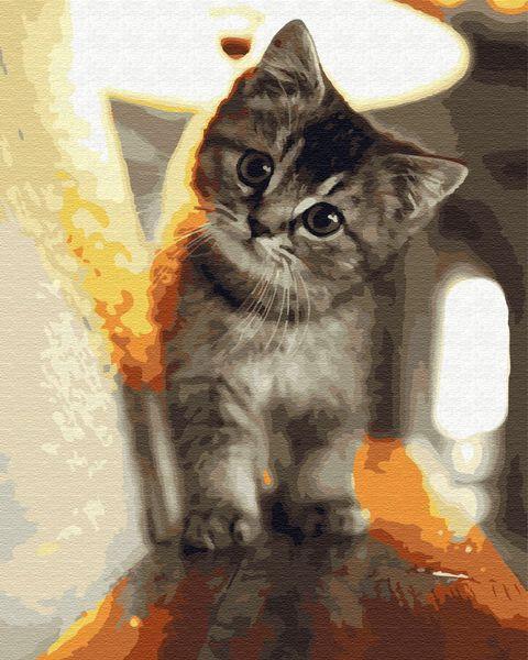 

Картины по номерам 40х50 см Brushme Маленький котик (GX 29845)