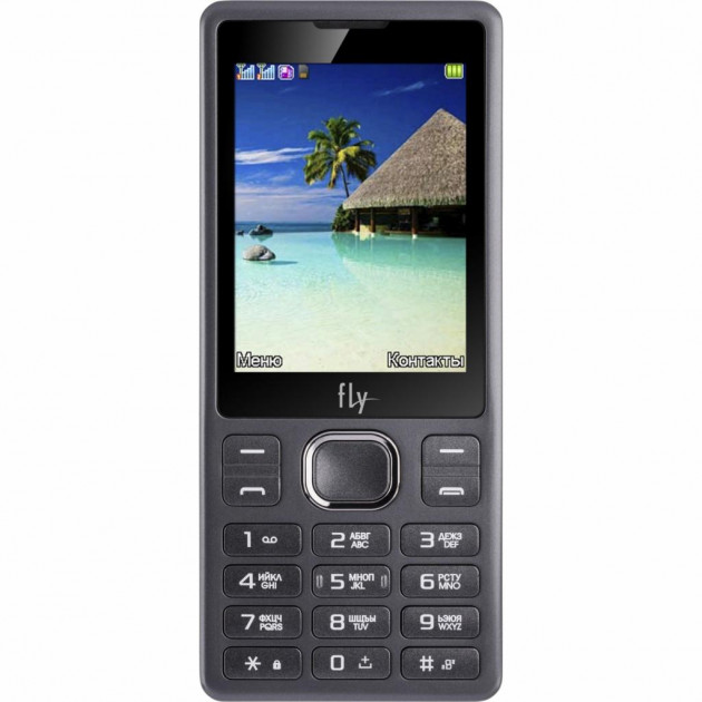 

Мобильный телефон Fly FF282 2 SIM 1000 мА*ч Black