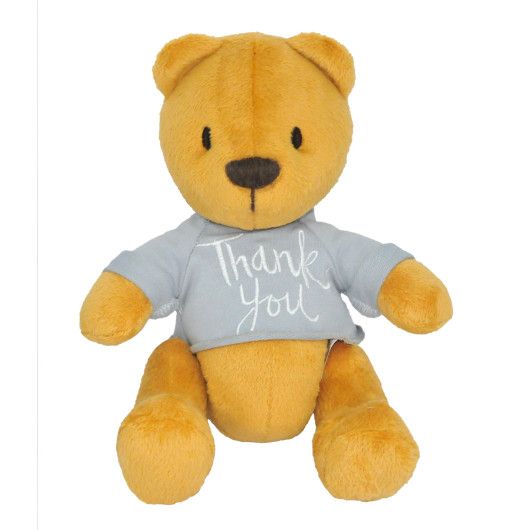 

Медведь «Денни thank you», 20см (ВЕ-0207)