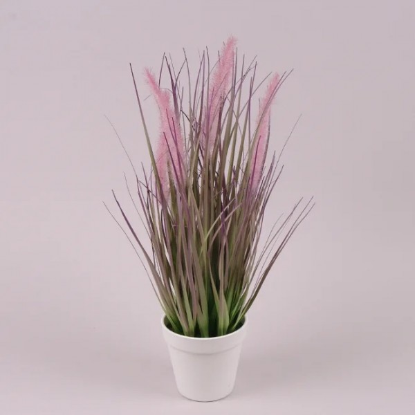 

Растение в горшке Flora 26786 46 см
