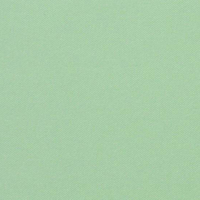 

Рулонная штора RolDecor Black Out элит Umbra 62x150 см 055 Фисташковая BV0999-62