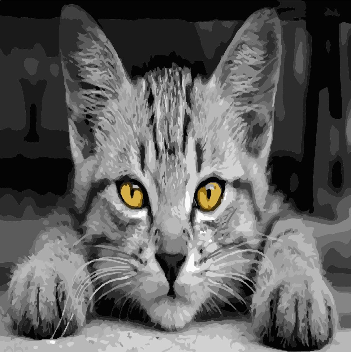 

Картина по номерам "Серый кот" ArtStory холст на подрамнике 40x40см AS0502