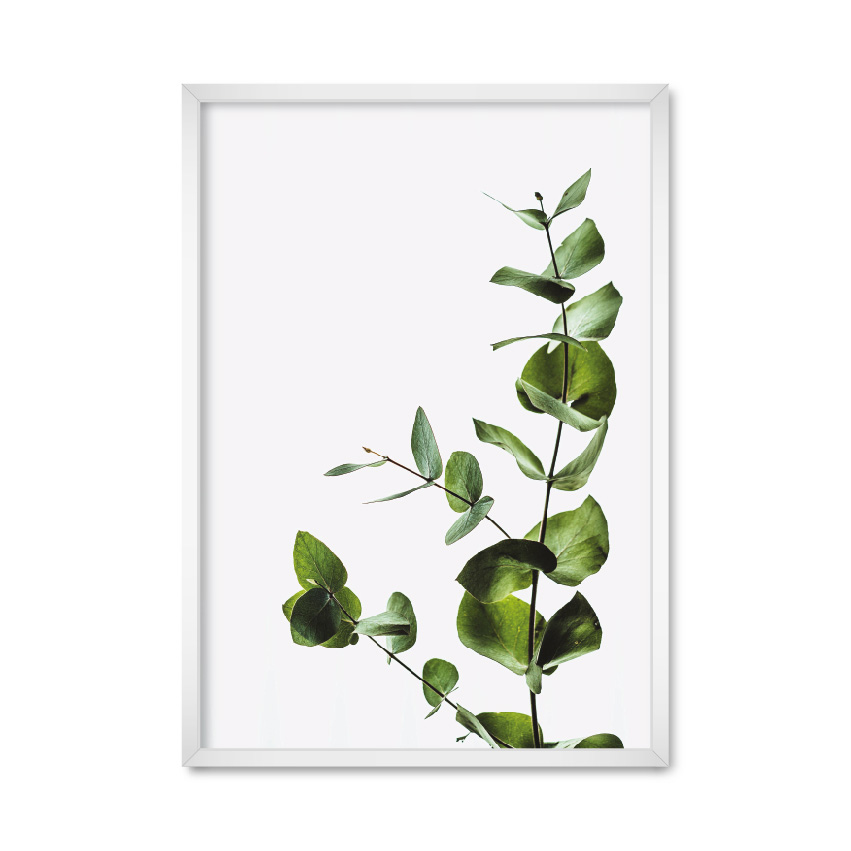 

Постер "Minimalist plant" без стекла 59.6 x 84 см в белой рамке